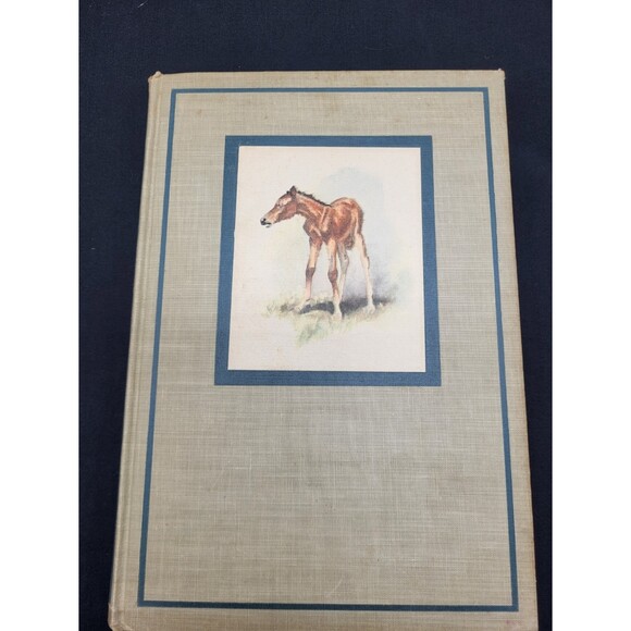 The Red  Pony by John Steinbeck - Picture 1 of 5